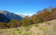 El otoño a  La Flambelle