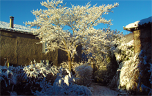 El invierno a  La Flambelle