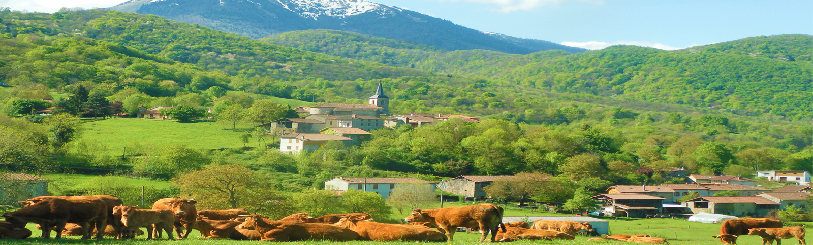 La Flambelle  : Chambres d'hôtes de charme - Pyrénées